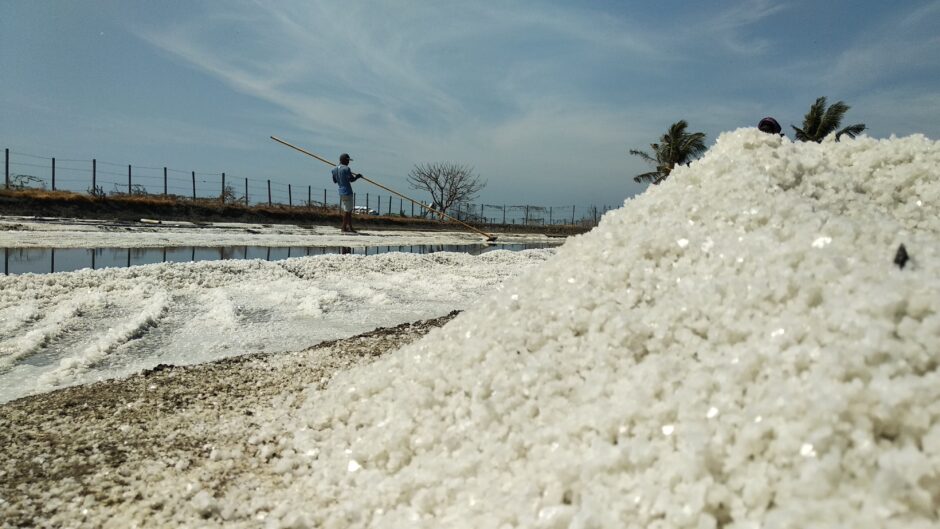Kembangkan Industri Garam di Wilayah Pesisir Pemkab Maros Siapkan 1 Miliar Untuk Petani