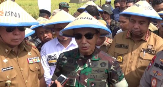 Didampingi Bupati Maros, Pangdam XIV Hasanuddin Gelar Panen Raya Padi Ciherang,Hasilkan 7 Ton PerHektare