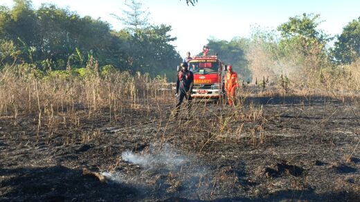 Aksi Tanggap Pemadam Kebakaran Pemkab Maros Padamkan Sijago Merah
