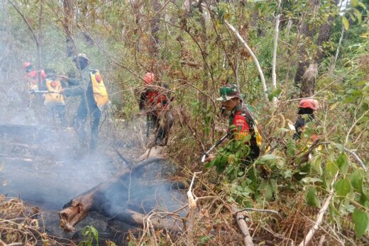 Snergitas TNI Polri dan Satgas Gabungan Padamkan Karhutla di Maros