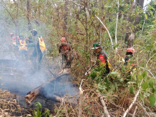 Snergitas TNI Polri dan Satgas Gabungan Padamkan Karhutla di Maros
