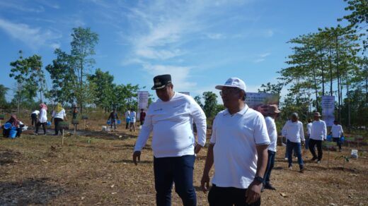 Bupati Maros Bersama Pelindo Tanam 2.500 Pohon Buah di Tanralili