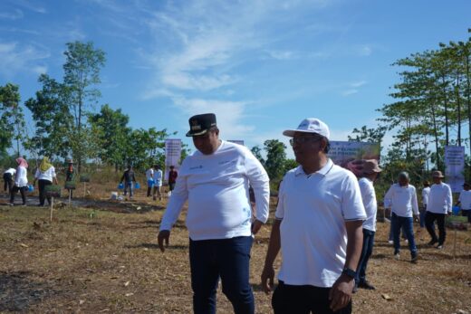 Bupati Maros Bersama Pelindo Tanam 2.500 Pohon Buah di Tanralili