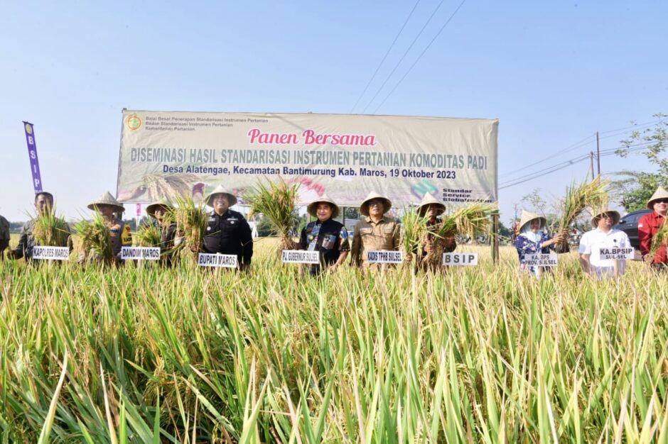 Bupati Maros Bersama Gubernur Sulsel Panen Raya Padi di Tengah El Nino, Hasil Menakjubkan