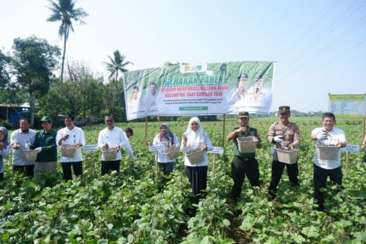 Pemkab Maros Gelar Panen Raya Kacang Hijau