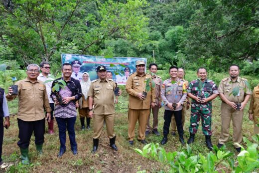 Setelah Rammang-rammang, Bantimurung Jadi Sasaran Program Budidaya Sukun