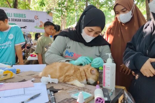 Maros Gelar Peringatan Hari Rabies Sedunia, Vaksinasi dan Edukasi untuk Anabul