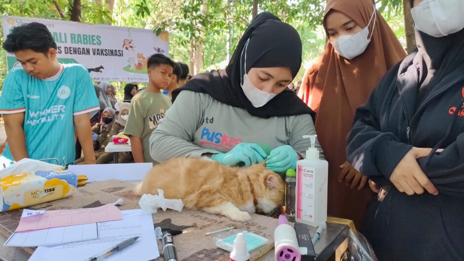 Maros Gelar Peringatan Hari Rabies Sedunia, Vaksinasi dan Edukasi untuk Anabul