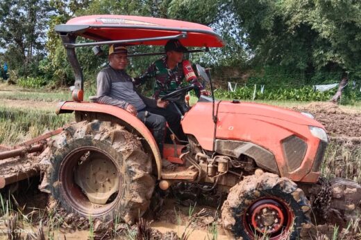Babinsa Turun ke Sawah, TNI Wujudkan Dukungan Nyata untuk Swasembada Pangan di Maros