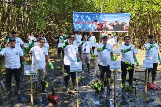 Pesisir Maros Dihijaukan, Pemkab dan InJourney Airports Tanam 70 Ribu Bibit Mangrove