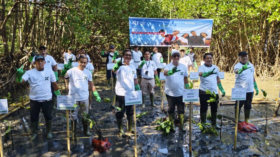 Pesisir Maros Dihijaukan, Pemkab dan InJourney Airports Tanam 70 Ribu Bibit Mangrove